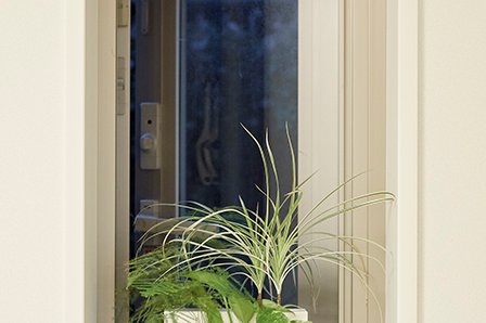 リビングの出窓には、壁掛け観葉植物を配置。給水口からの水やりで育つという。