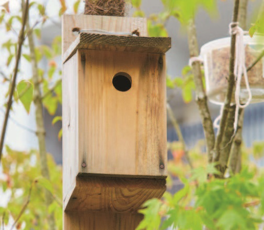 巣箱　植栽には、花や実のなる植物を多く採用。さらに、鳥の巣箱も設置し、さまざまな生き物が共生しやすい環境を整えている。集合住宅として初めてABINC認証※を取得。