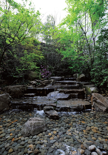 ロビーから見える水の流れる中庭は、作庭家・大北望氏の手によるもの。選り抜かれた石や木々が作り出す“自然”が心を穏やかに鎮めてくれる。
