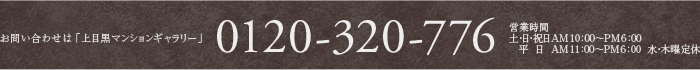 ���₢���킹�́u��ڍ��C���t�H���[�V�����f�X�N�v0120-320-776