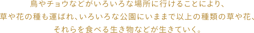 鳥やチョウなどがいろいろな場所に行けることにより、草や花の種も運ばれ、いろいろな公園にいままで以上の種類の草や花、それらを食べる生き物などが生きていく。