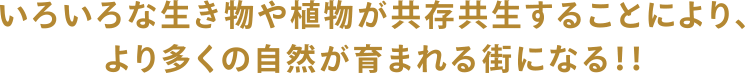 いろいろな生き物や植物が共存共生することにより、より多くの自然が育まれる街になる！！