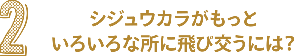 ２　シジュウカラがもっといろいろな所に飛び交うには？