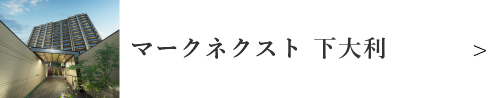 マークネクスト下大利