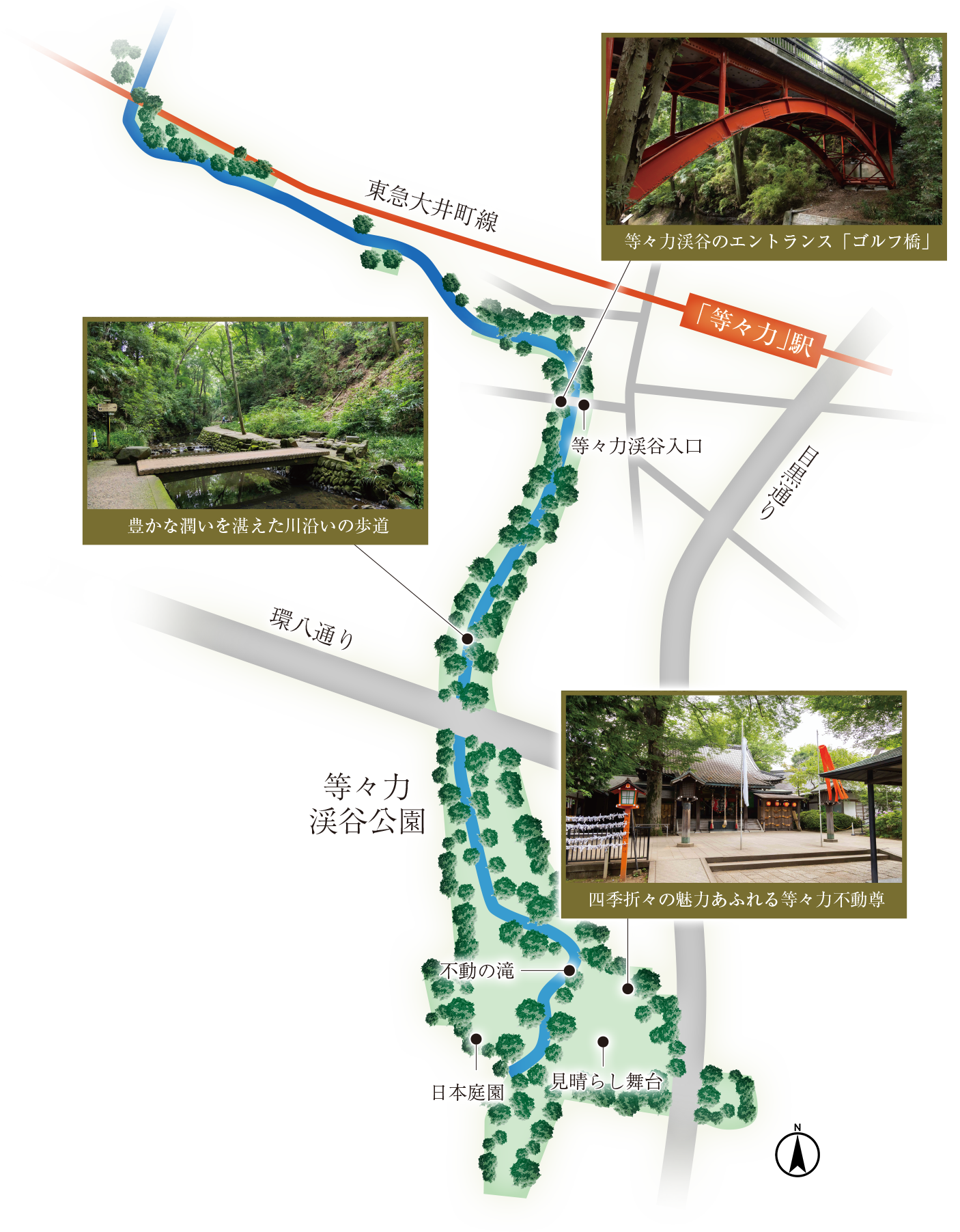 等々力周辺地図