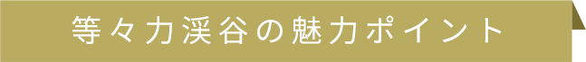 等々力渓谷の魅力ポイント