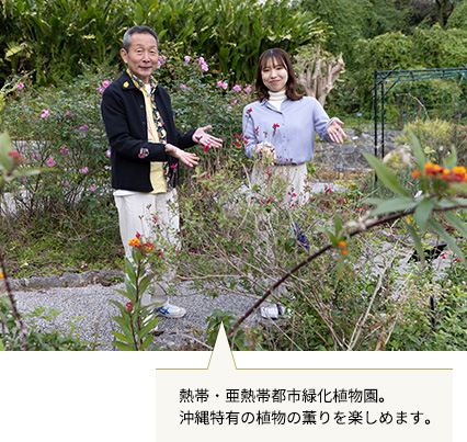 エメラルドビーチ