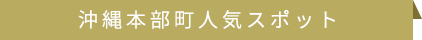 沖縄本部町人気スポット