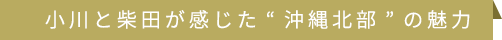 小川と柴田が感じた“沖縄北部”の魅力 