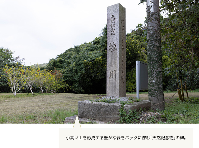 天然記念物 塩川の碑