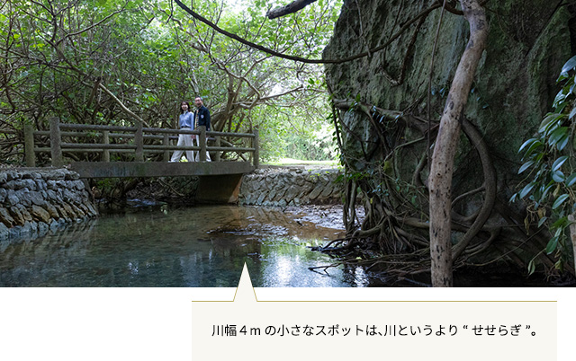 天然記念物 塩川の碑