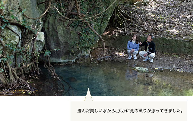 天然記念物 塩川の碑