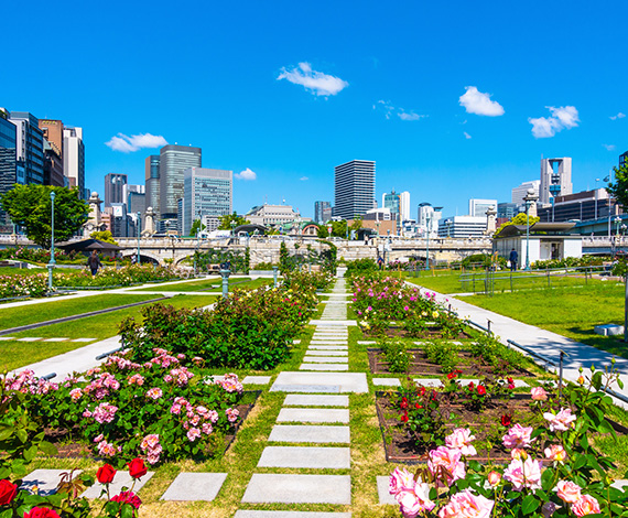 中之島バラ園