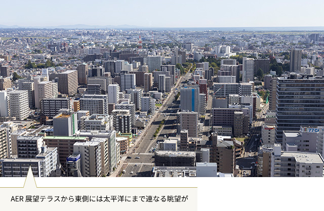 AER展望テラス