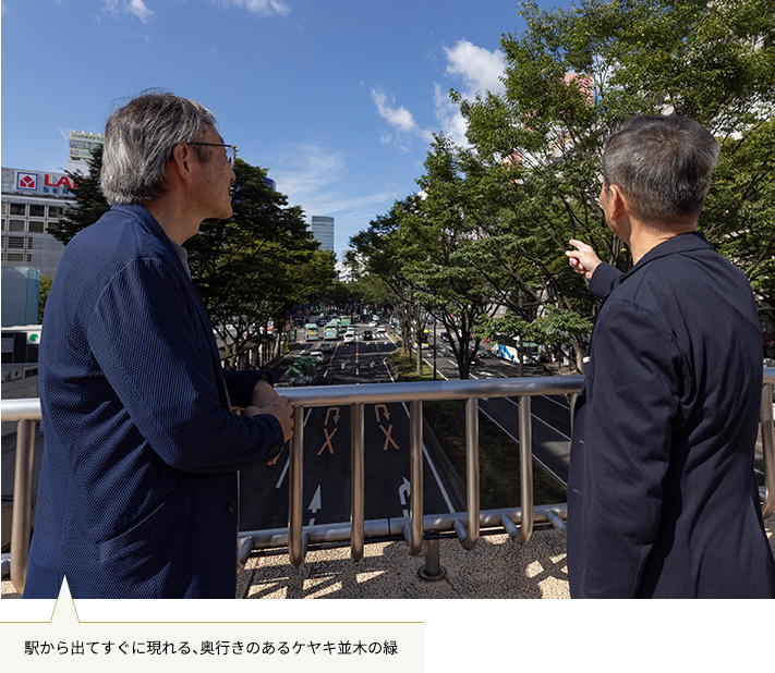 天然記念物 塩川の碑