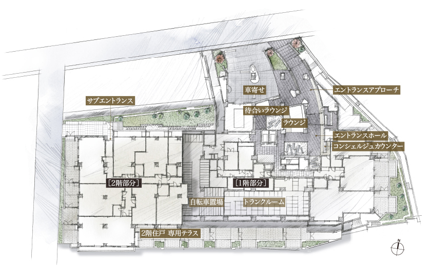 （仮称）渋谷区神山町計画　敷地配置図・1階・2階平面イメージイラスト