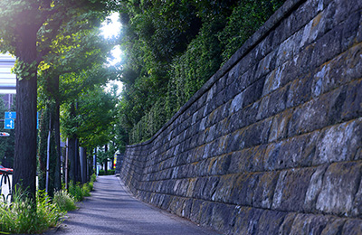 現地周辺の街並み