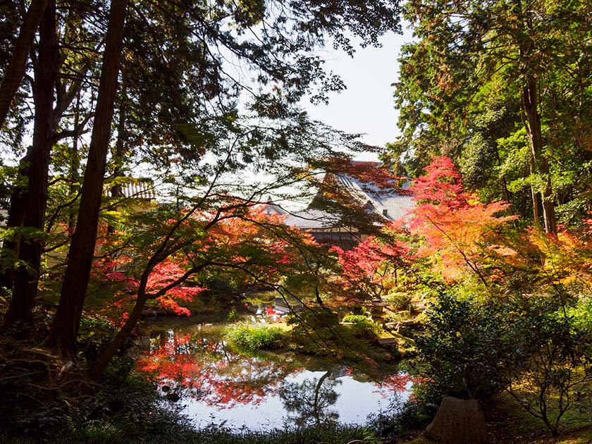 紫雲の庭(金戎光明寺) 徒歩11分(約820m)