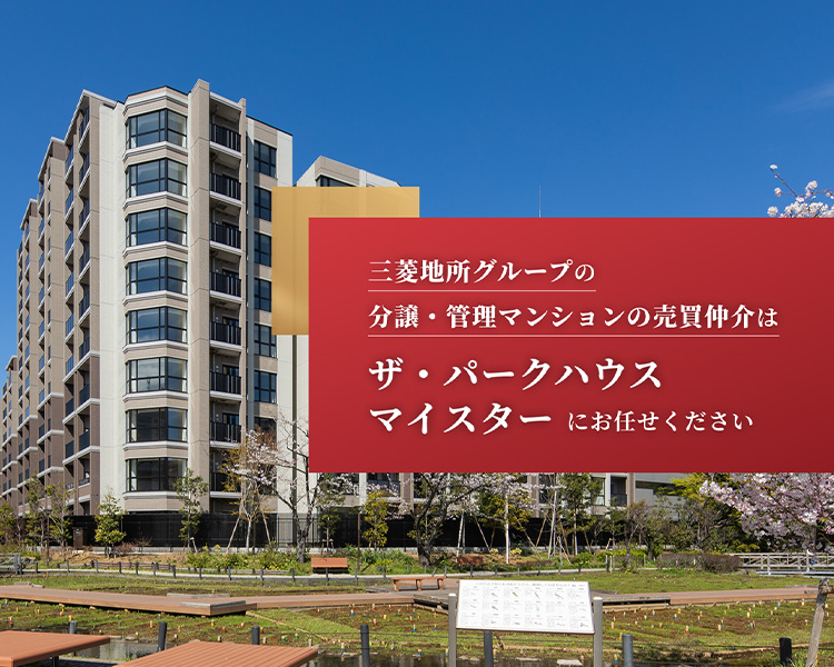 image photo