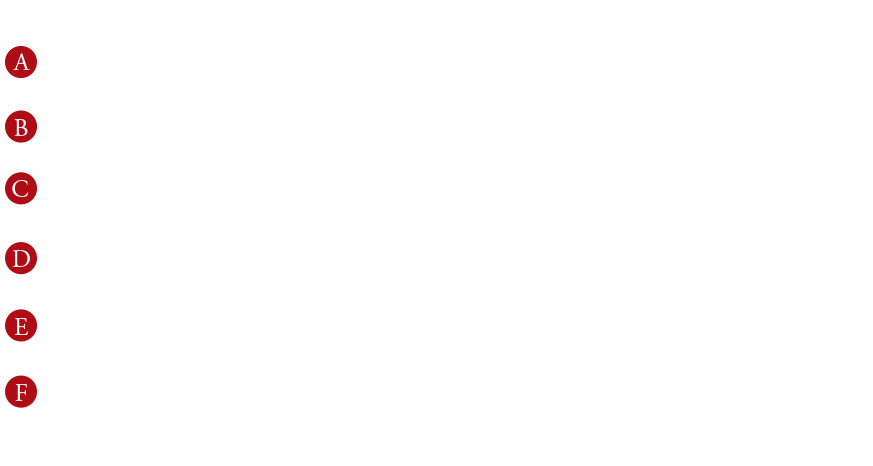 デザインのポイント