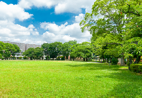 小園公園