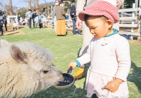 千葉市動物公園