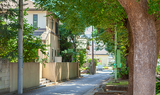 現地周辺の街並み