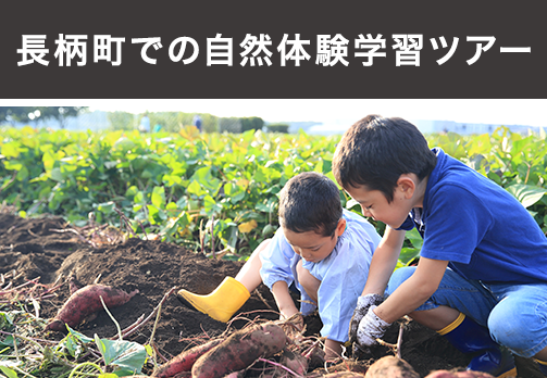 長柄町での自然体験学習ツアー