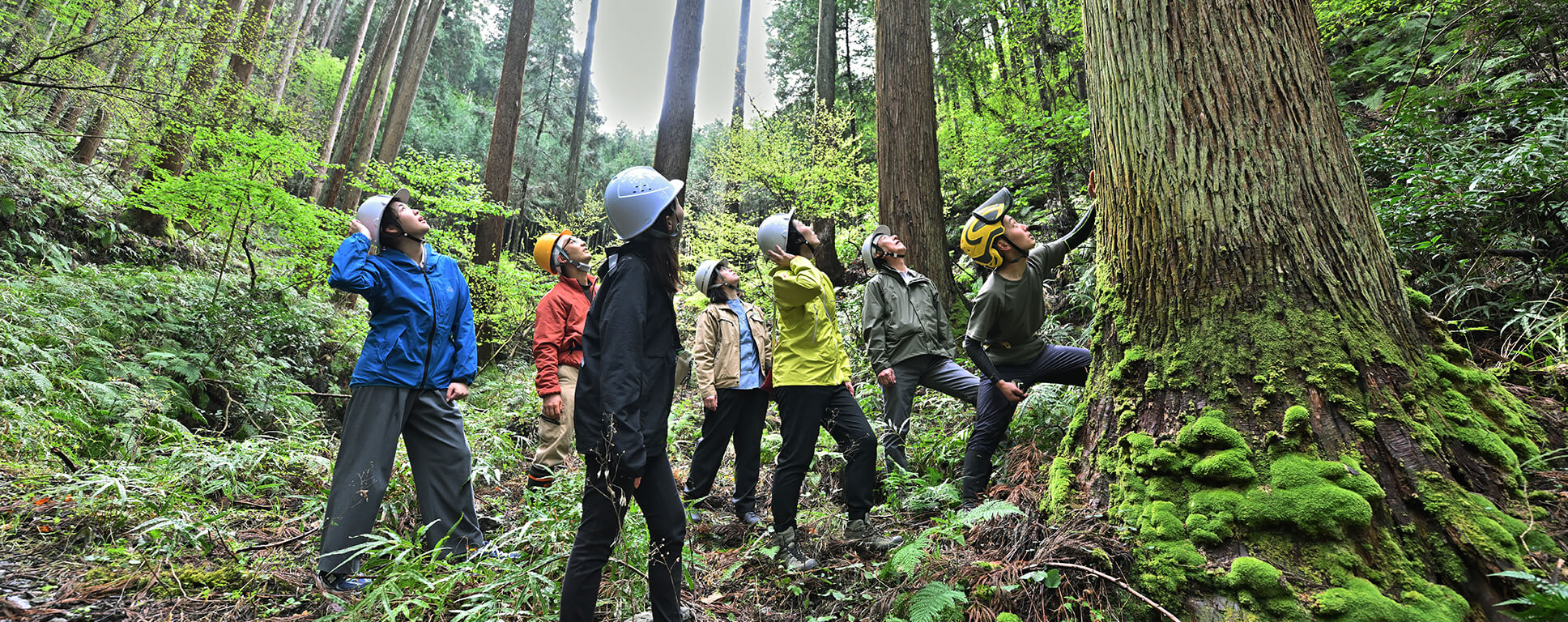 2025年度グッドデザイン賞受賞　流通改革による日本の森林を守る取り組み
