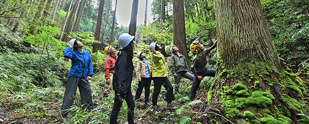 2025年度グッドデザイン賞受賞　流通改革による日本の森林を守る取り組み