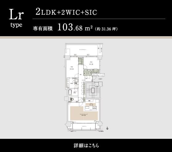 Lr TYPE