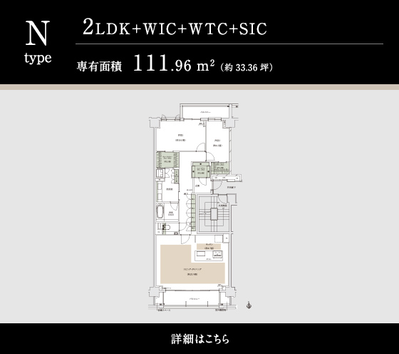N TYPE