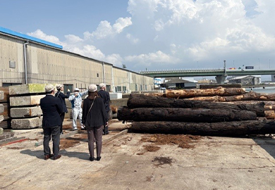 フローリング工場見学風景
