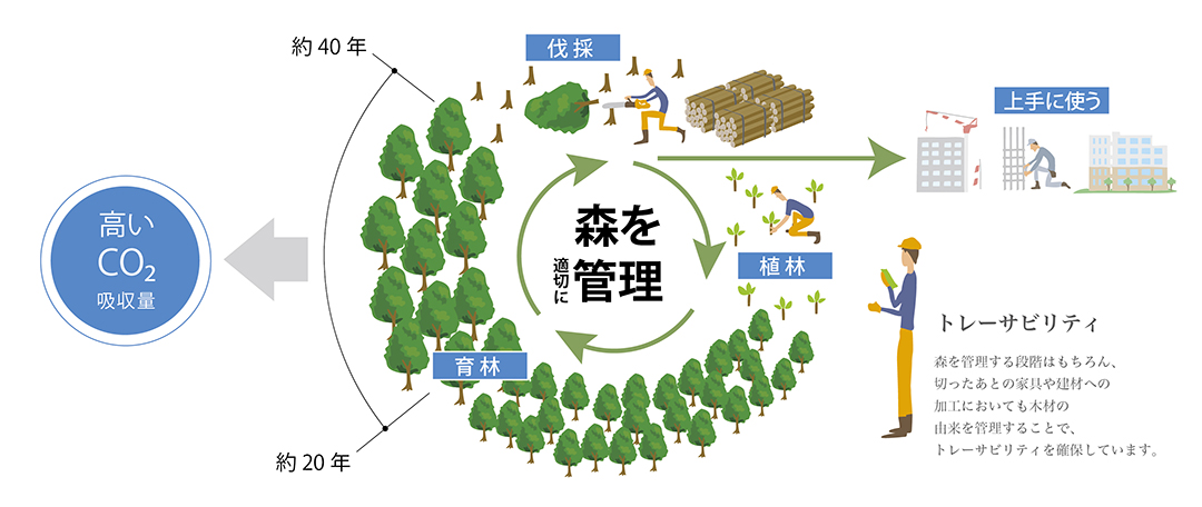 国内林業を守る新たな取り組みイメージ図