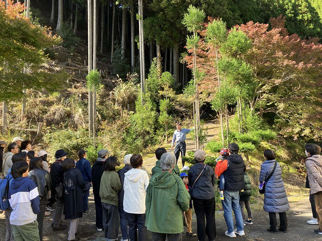 北山杉を前に説明を受ける参加者たち