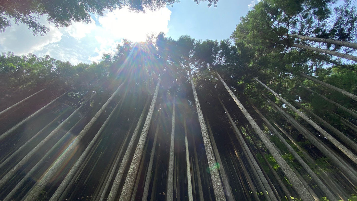 アップサイクルポーチ