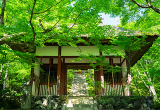 青紅葉めぐり　嵯峨嵐山編