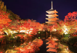 錦繍の美を映す、紅葉リフレクション