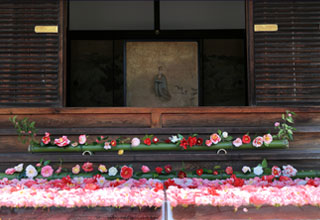 冬から春への彩り 椿と梅を訪ねて