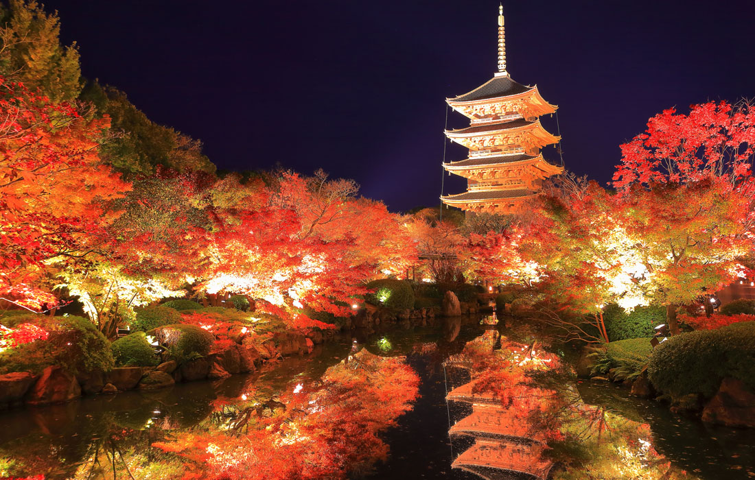 闇に浮かぶ「東寺」の五重塔は圧巻。紅葉との美しいコントラストが堪能できる
