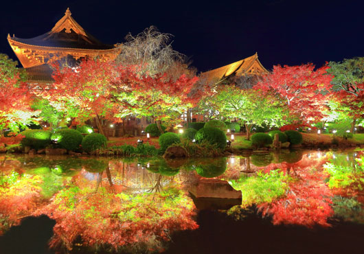 境内のあちこちが美しく色付き多彩な表情が楽しめる「東寺」