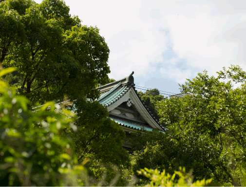 白鶴美術館