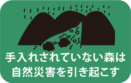 手入れされていない森は自然災害を引き起こす
