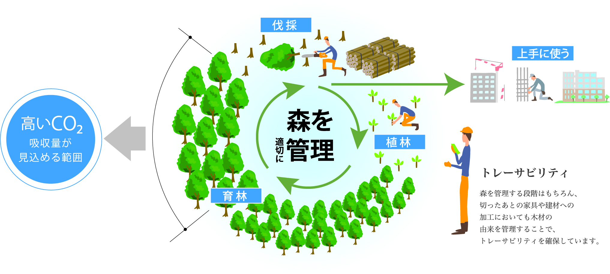 森林管理による資源循環のイメージ図