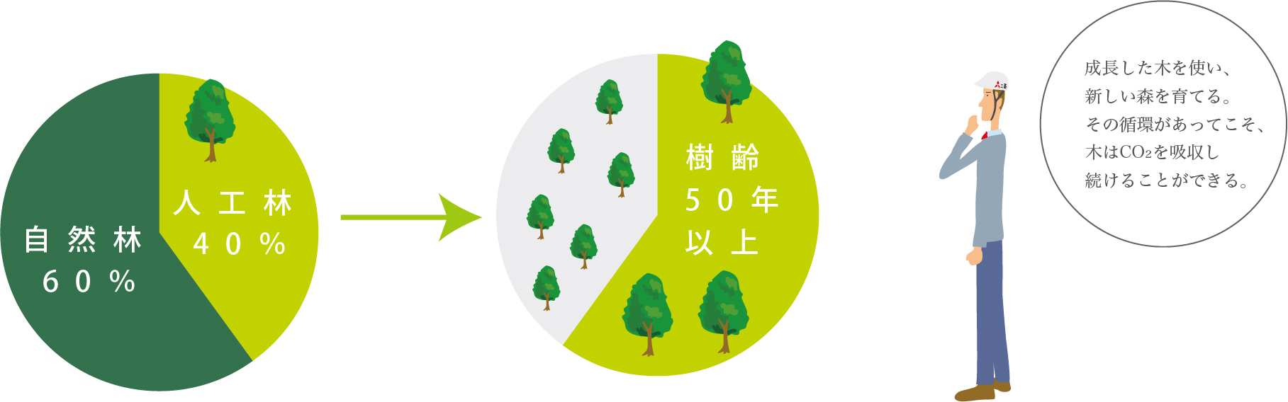 日本の森林資源の現状を示す図