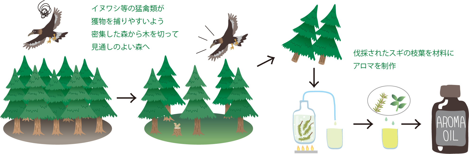 イヌワシ保全活動と木材活用の循環を示した図