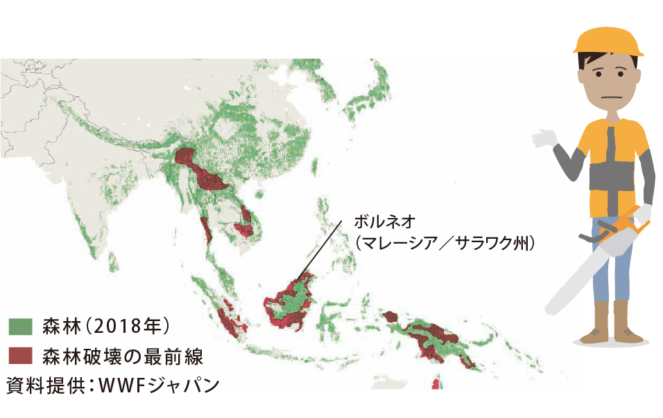 木材調達と森林保全活動の広がりを示した図