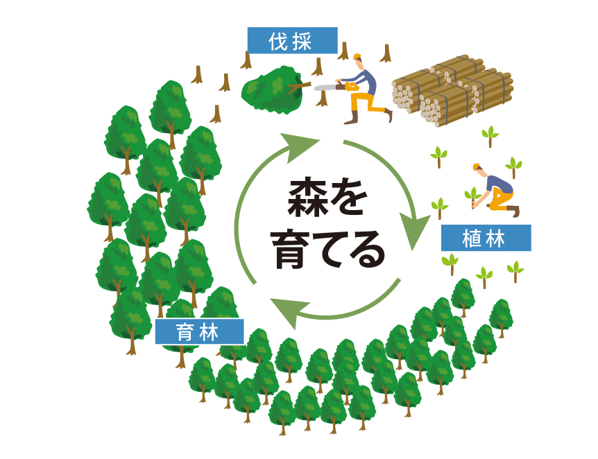 森林保全活動による森の循環を示した図