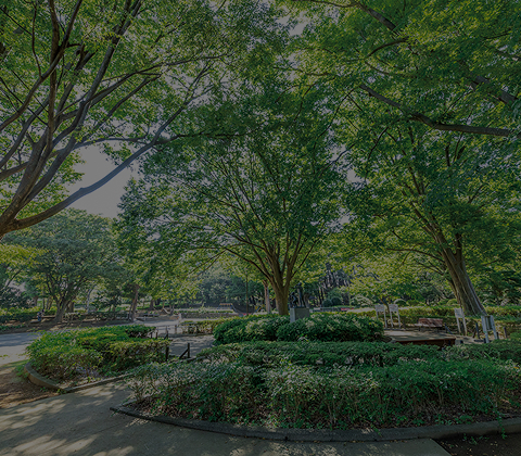 北習志野近隣公園