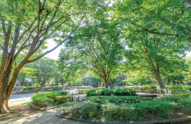 北習志野近隣公園